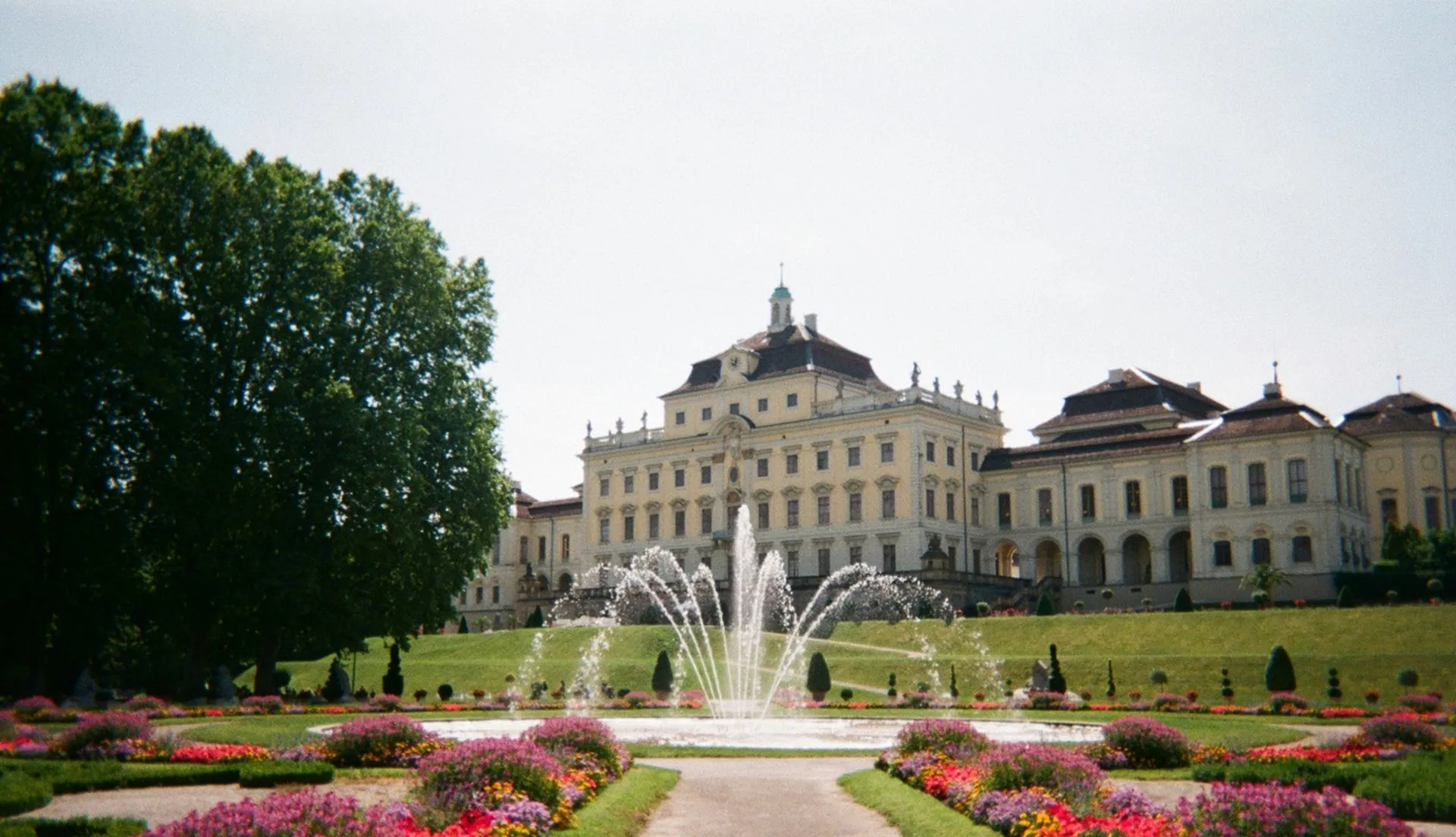 Ludwigsburg, Ihr SEO-Markt