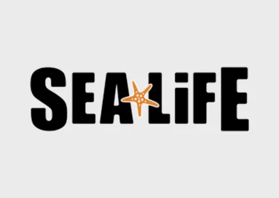 Sea Life